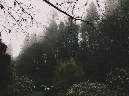 Processed with VSCO with c1 preset