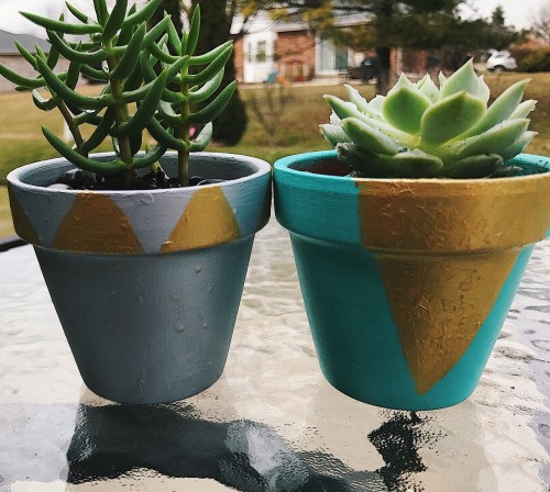 Processed with VSCO with f1 preset